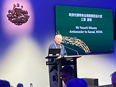 �O�V�N���܂����A