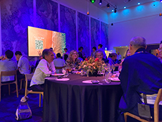 ���e��̗l�q